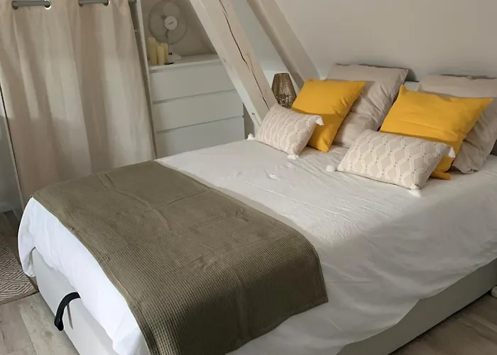Charmant Et Cosy Appartement
